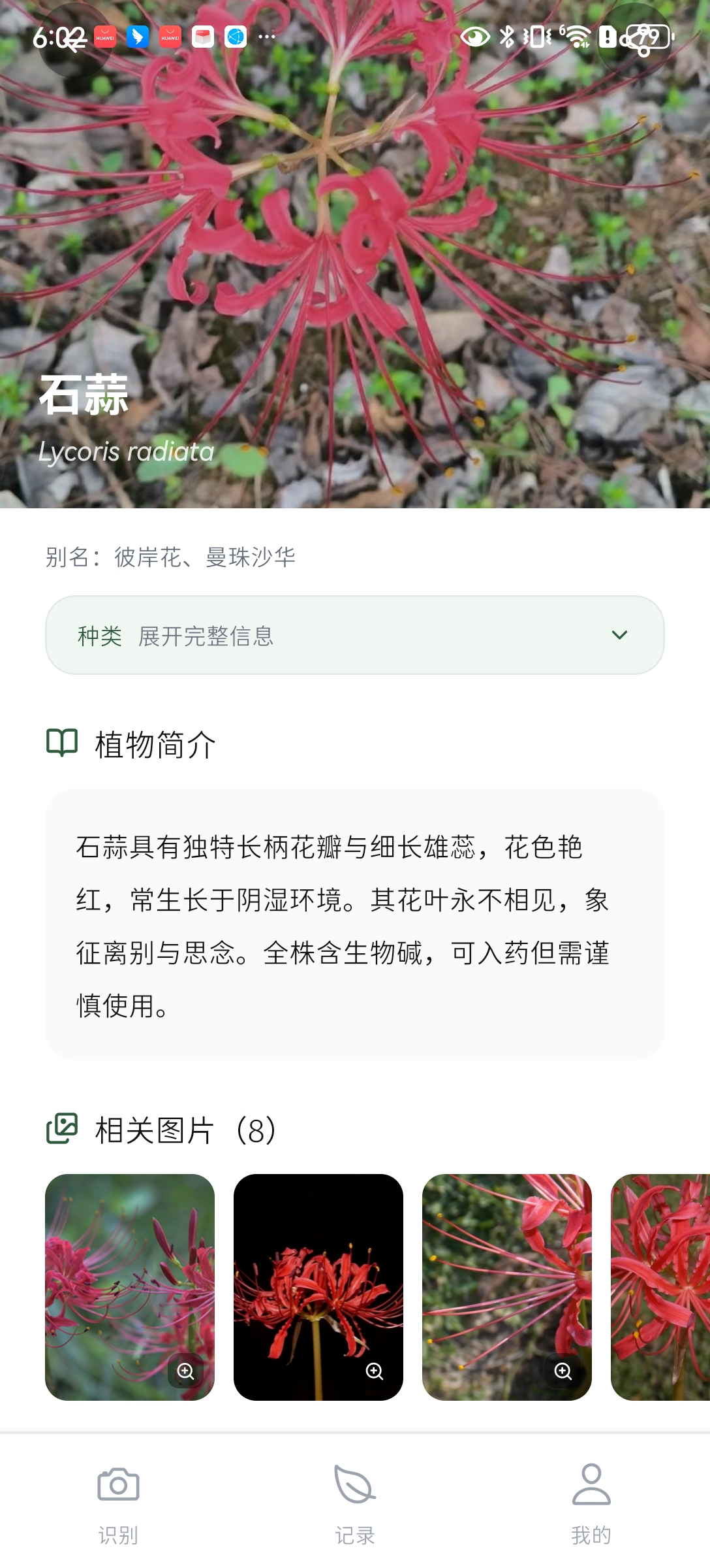 花博士植物百科页面截图